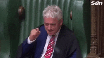 parliament john bercow GIF