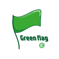 Green Flag Ets Sticker by ChektAhora