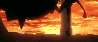 Pokemon Anime Running GIF by Pokémon