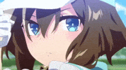 Horse Focus GIF
