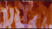 On Fire Help GIF by Arrow Video