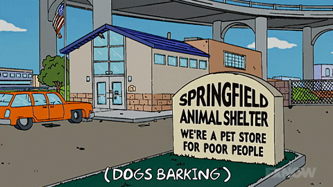 Episode 2 Animal Shelter GIF by The Simpsons