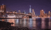 new york GIF