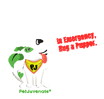 In An Emergency Hug A Pupper Pj Petjuvenate Sticker by PetJuvenate - PJ