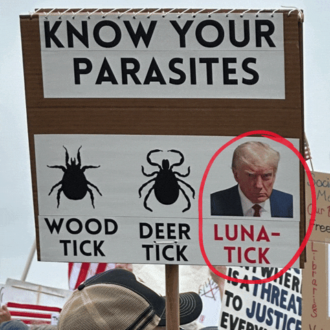 Organize Human Rights GIF by Creative Courage