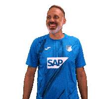 Sport Bundesliga Sticker by TSG Hoffenheim