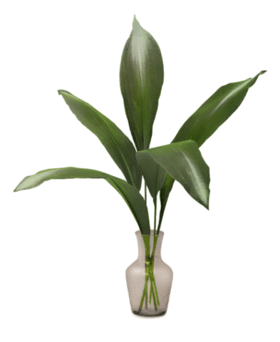 bettermonday_coffee giphyupload better monday coffee 베러먼데이 베러먼데이커피 Sticker