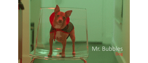 Vampire Dog Sticker by Launch Over Films LLC