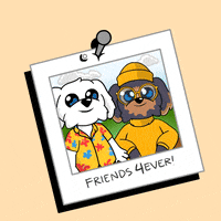 Best Friends Bff GIF by BoDoggos