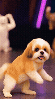틴더스 GIF
