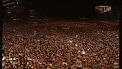 Concert Audience GIF