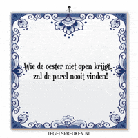 Humor Nl GIF by Tegelspreuken.nl