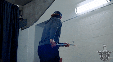 nhl sports hockey nhl ice hockey GIF