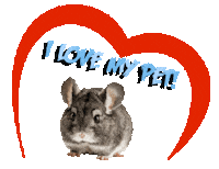Guinea Pig Love Sticker