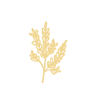 Flower Love Sticker