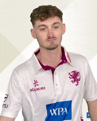 Sport Spinner GIF by Somerset County Cricket Club