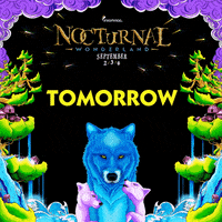 insomniacevents  GIF