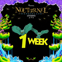 insomniacevents  GIF