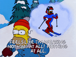 The Simpsons gif. Homer from the Simpsons is skiing down a hill and suddenly thinks about Flanders in his skin tight ski suit. Suddenly, we get a closeup shot of Flanders pert booty in the suit and Flanders says, "Feels like I'm wearing nothing at all! Nothing at all." Homer grimaces hard and says, "Stupid, sexy Flanders!"