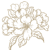 Flower Sakura Sticker by Tocco Toscano