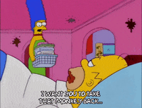 homer simpson episode 21 GIF