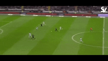 jovic GIF by nss sports