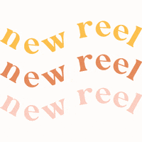 GIF by Pip and Willow