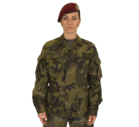 armadaceskerepubliky giphyupload why really army Sticker