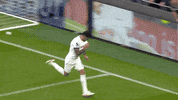 Happy Premier League GIF by Tottenham Hotspur