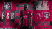 GIF by AFC Bournemouth