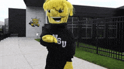 Wu_Shock dance wsu wu wushock GIF