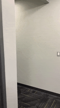 Wu_Shock hi sneaky peekaboo wsu GIF