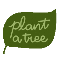 Plant Tree Sticker by Demic