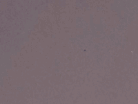 glitch pattern GIF
