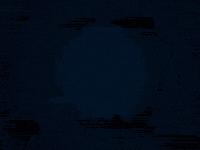 C21 GIF by c21william