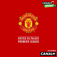 GIF by CANAL+