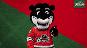 Hockey Mascot GIF by Augsburger Panther Eishockey GmbH