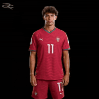 Cristiano Ronaldo Portugal GIF by Respective