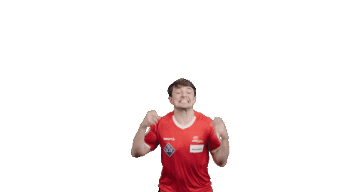 Switzerland Celebrating Sticker by swisscurling