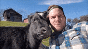 GIF by Barn Sanctuary