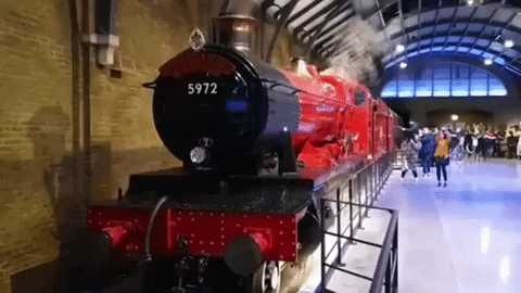 Harry Potter Nerd GIF by Temple Of Geek