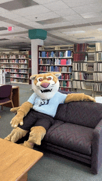 Relax Facepalm GIF by Mount Vernon Nazarene University