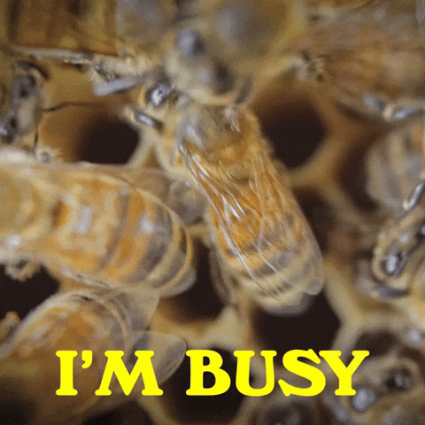 Stressed Busy Bee GIF by Sealed With A GIF