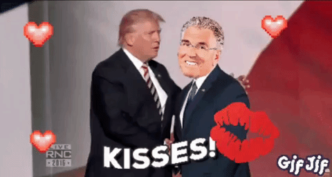 mike francesa mikezaun GIF
