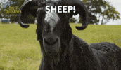 Lamb Shepherd GIF by The Sheep Detectives