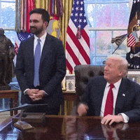 Donald Trump GIF by Respective
