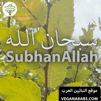 Middle East Wow GIF by VeganArabs