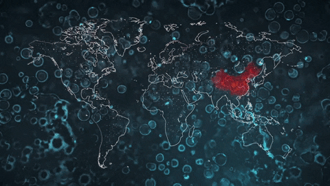 FormulaNews giphygifmaker GIF