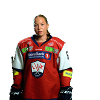 Sandnes Sticker by Lillehammer Ishockeyklubb