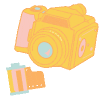 Film Camera Pvp Sticker by Paige Vaughn Photo